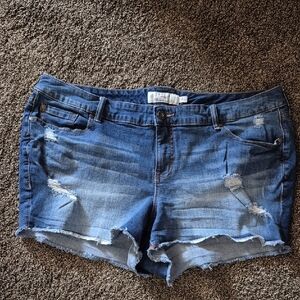 Torrid Women's Plus Shorts Size 20